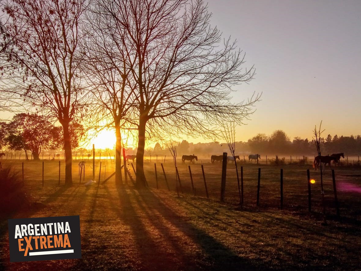Iniciación a las Travesías a Caballo - Taller de Equitación - Estancia en Buenos Aires