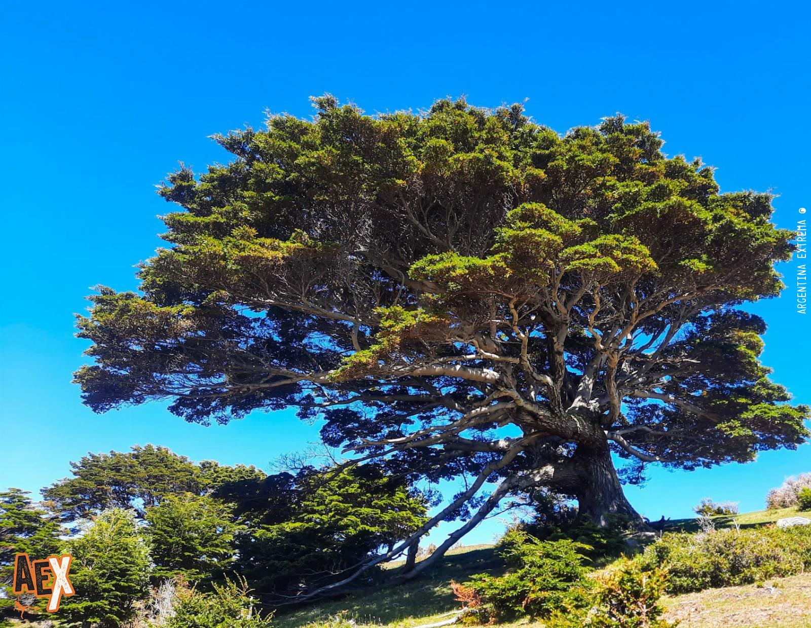 Trekking al Faro San Pio - Península Mitre - Ushuaia - Tierra del Fuego