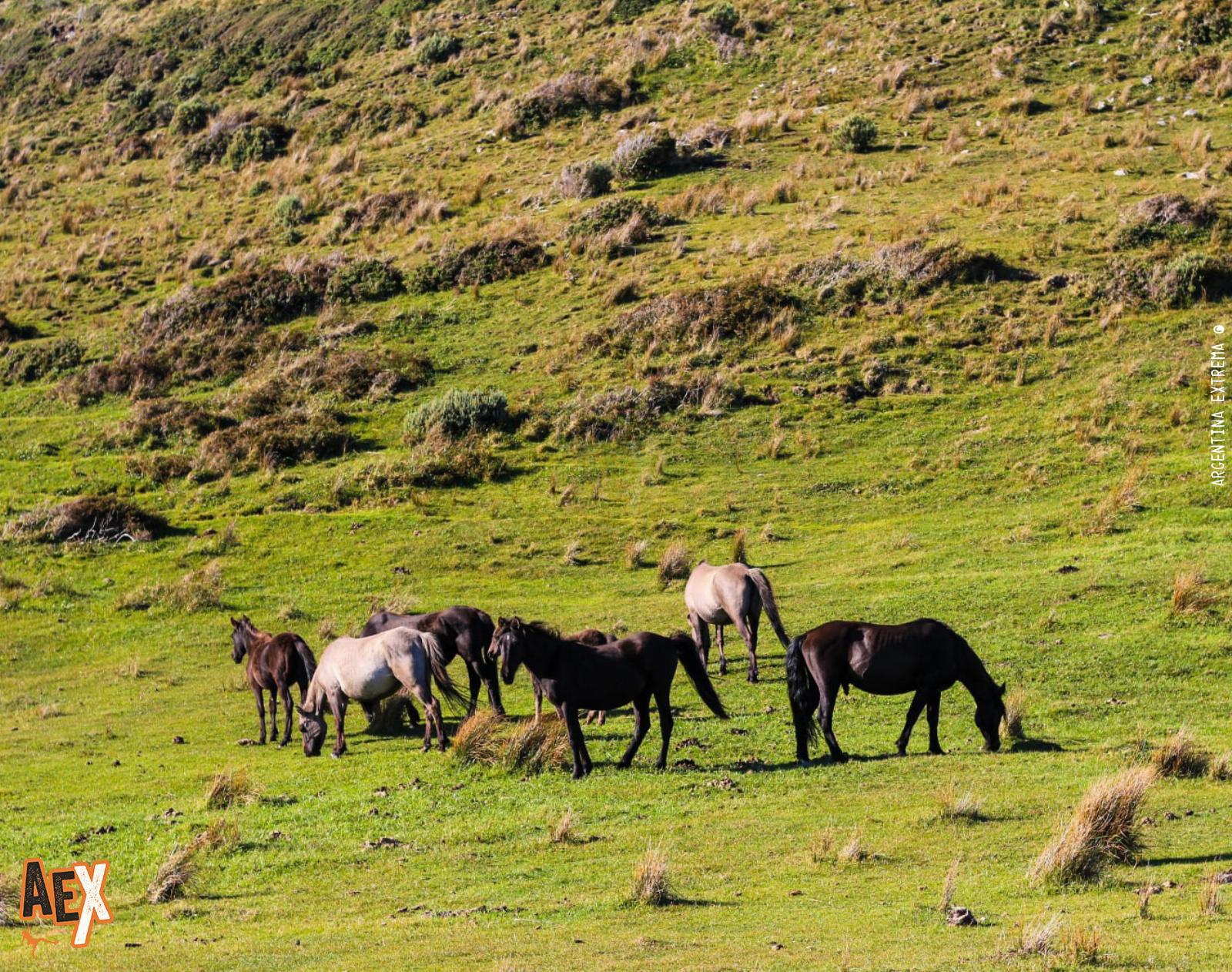 Trekking al Faro San Pio - Península Mitre - Ushuaia - Tierra del Fuego
