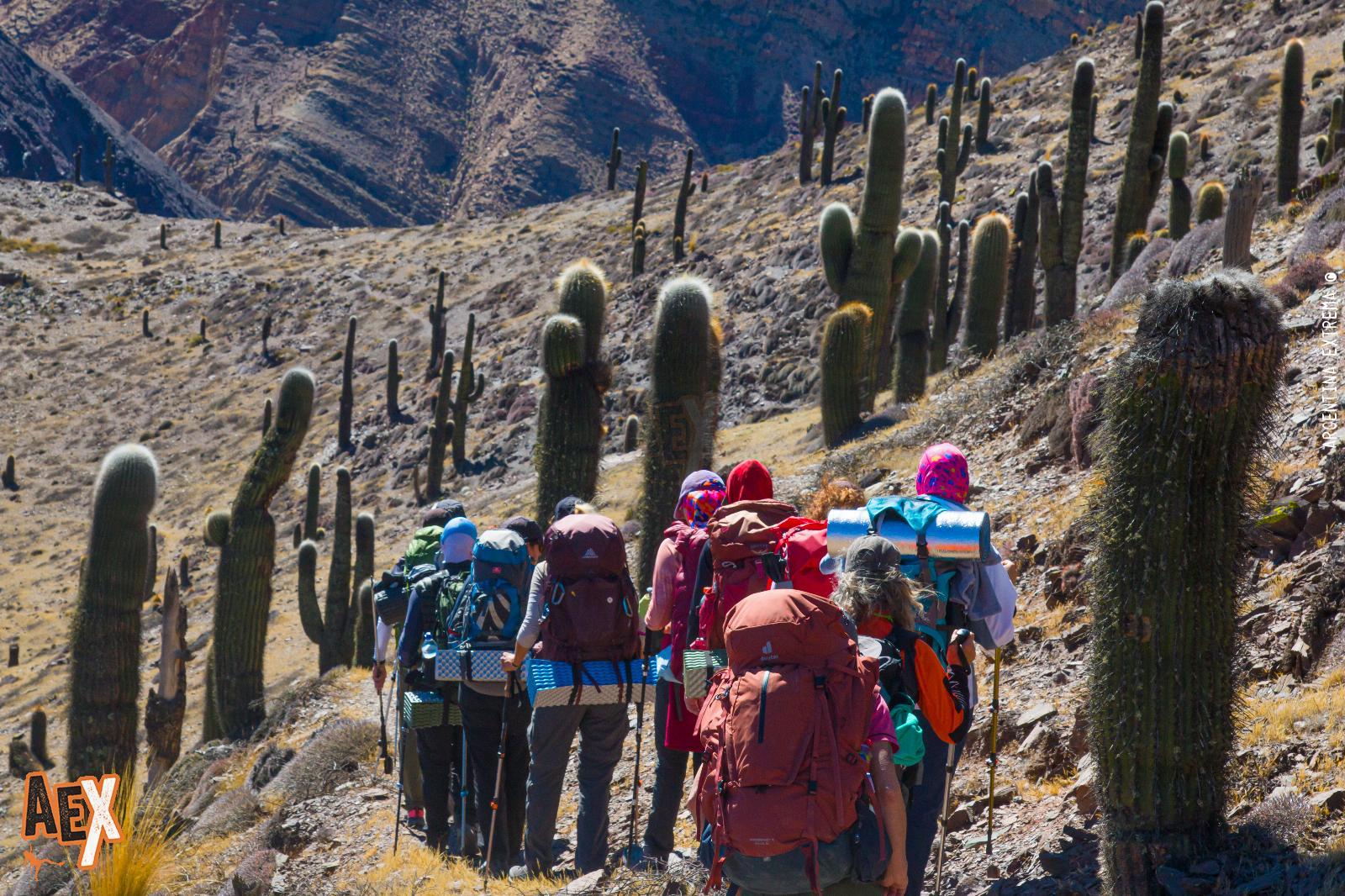 Trekking de las Nubes - Silla del Inca - Quebrada del Toro - San Lorenzo - Salta