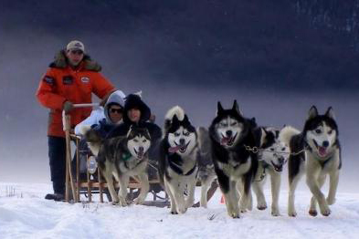 trinero con perros grupal ushuaia aex
